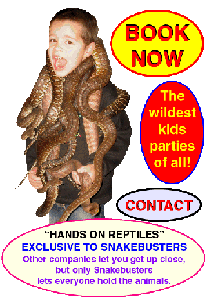 Melbourne reptile party